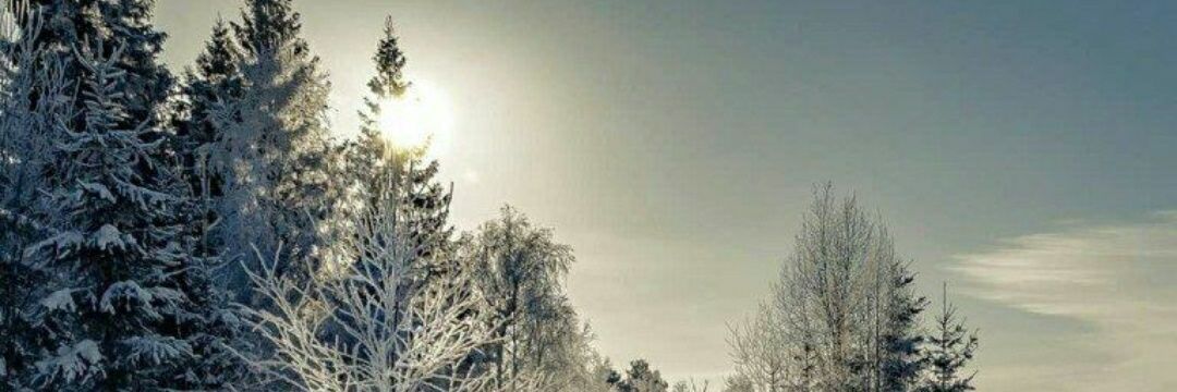 Next Governor ❗ 👤🕴 banner