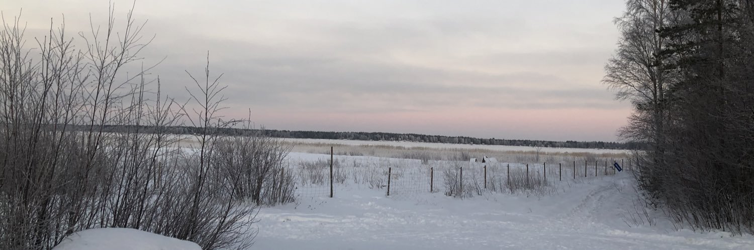 remellinsonja's profile banner image