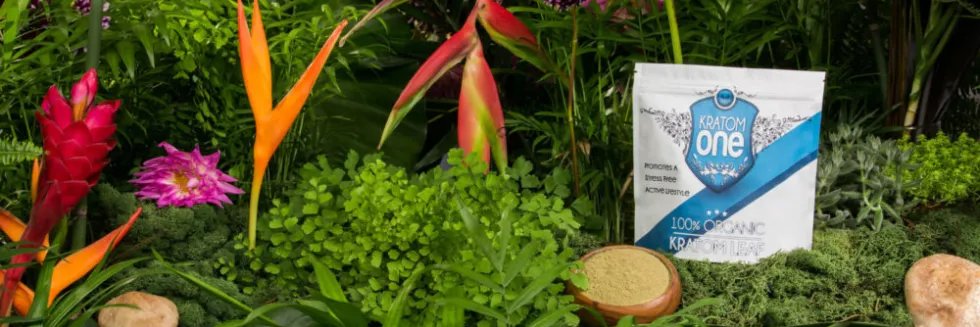 KratomOne's profile banner image