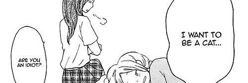 saaraanghe's profile banner image