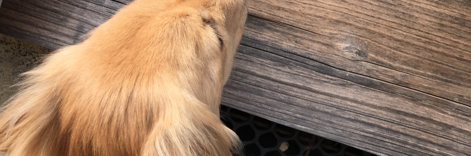bsyy_29's profile banner image