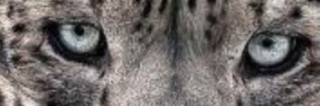 FuadFarizul's profile banner image