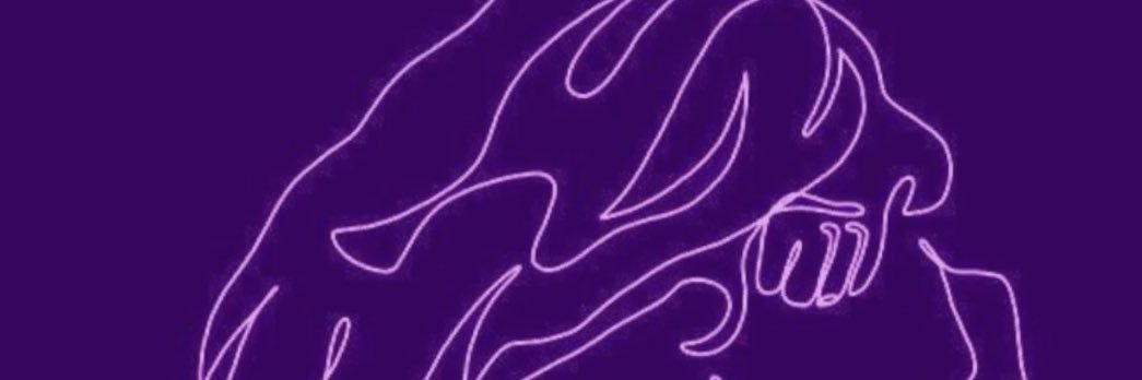 sbllefee's profile banner image