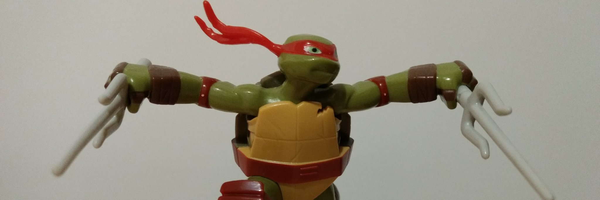 RaphTurtle42's profile banner image