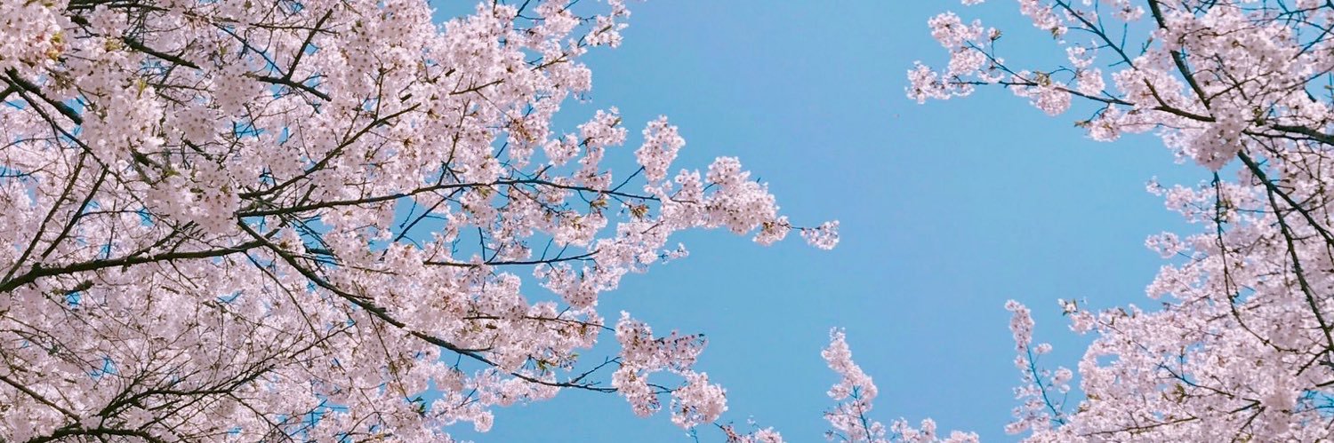 nctmarklees's profile banner image