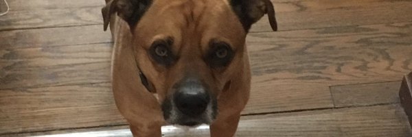 GAlmasyii Profile Banner