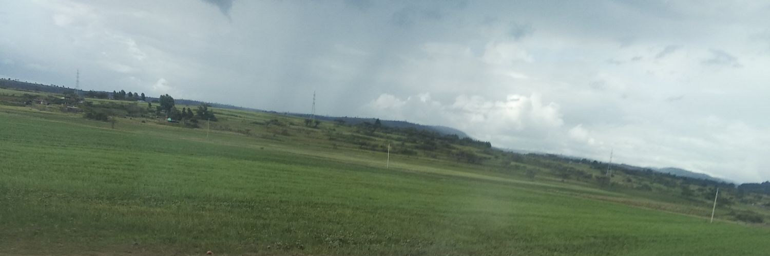 Dan_dereva's profile banner image