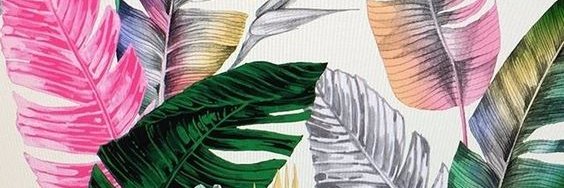 iKolibri's profile banner image