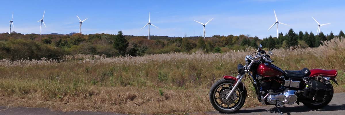 BRAIN@LongShot banner