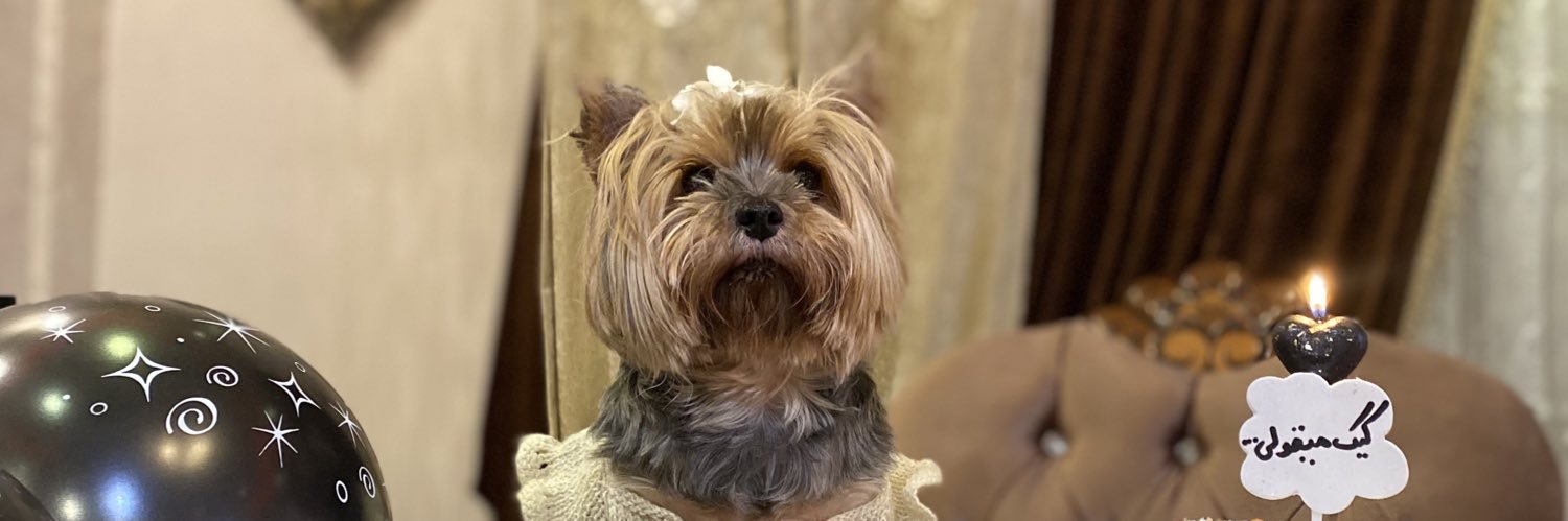 _minoo__'s profile banner image