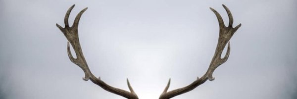 KdLoord Profile Banner