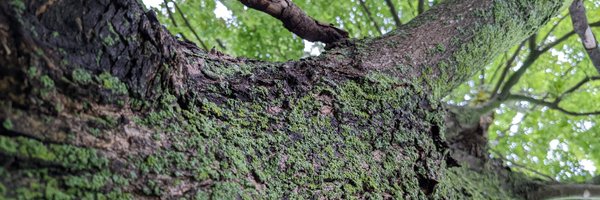 tobywm Profile Banner