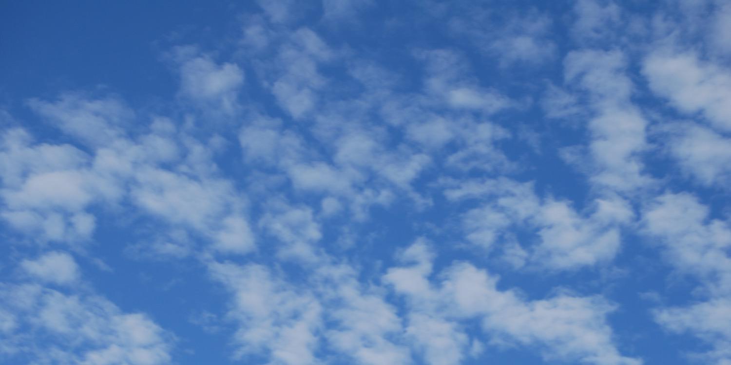 EmmaJWarman's profile banner image