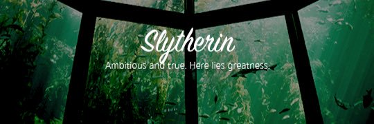 itscheyactually's profile banner image