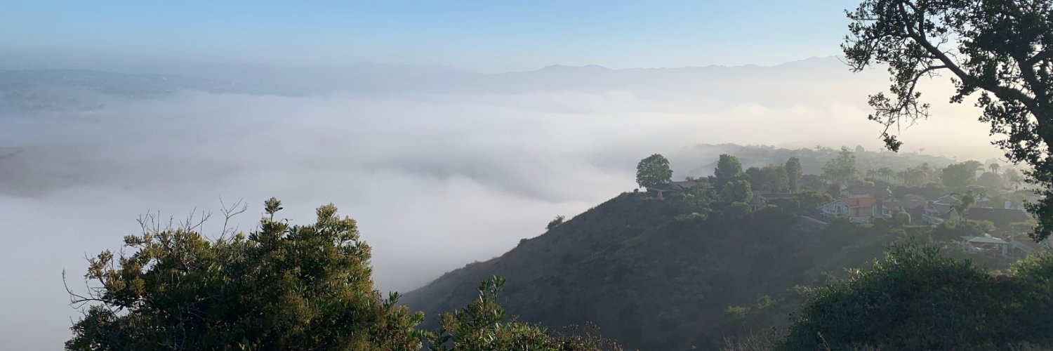 Dani Fankhauser banner