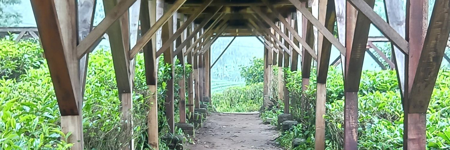 𝖆𝖌𝖚𝖘𝖏𝖔𝖓 banner