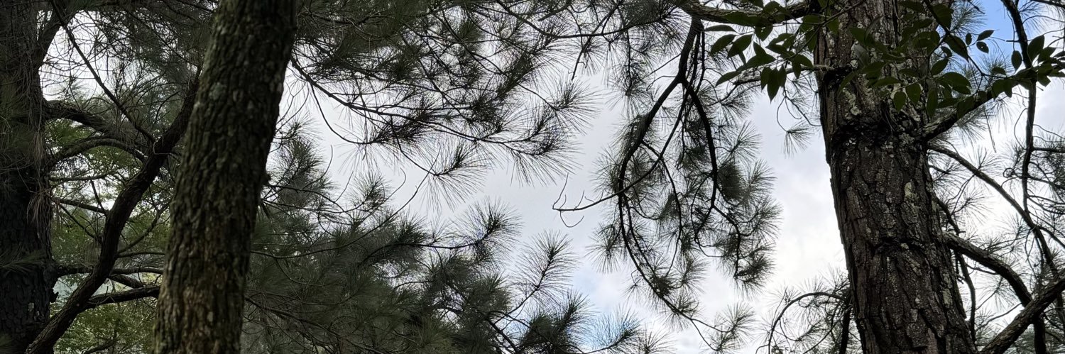 Danny_PortilloL's profile banner image