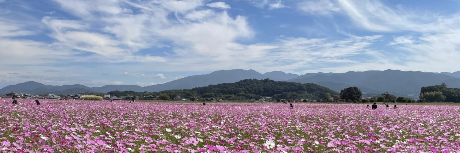 いのこと banner