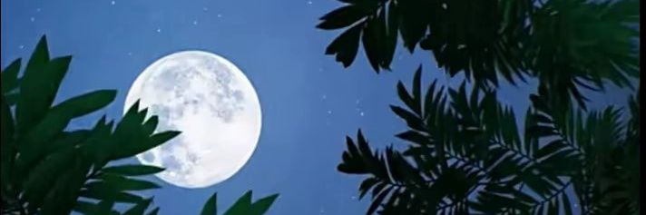 rchapman2006's profile banner image