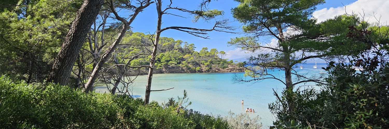 Romain Stievenard 🫆 banner