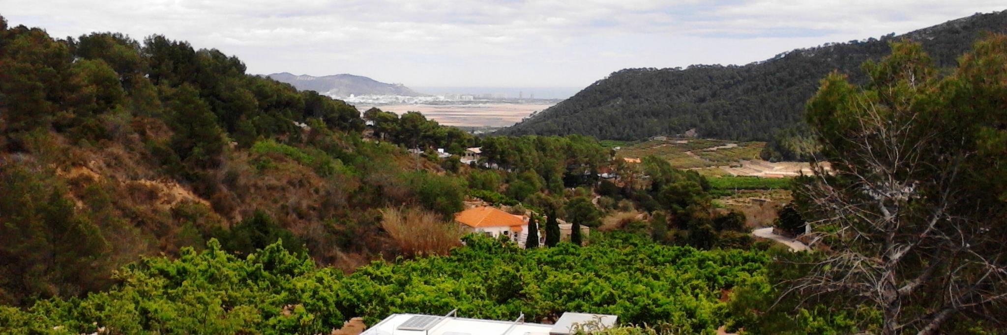 Ana Gonzalez Herdaro banner