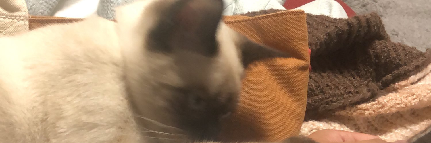 MrEverton198's profile banner image