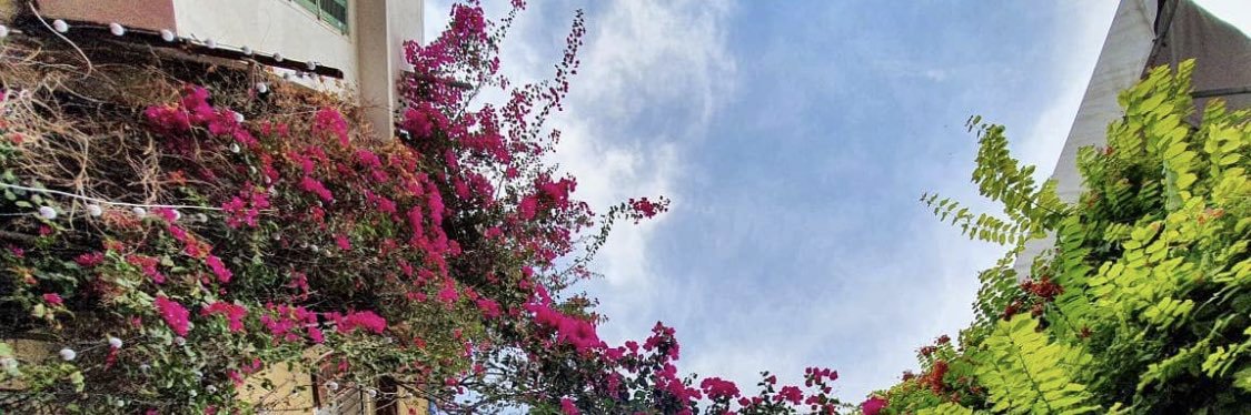 Ghadah AlBakr banner