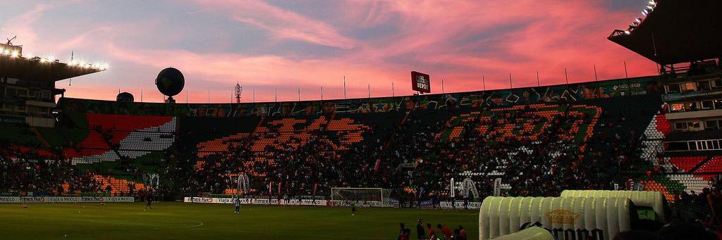 Dario🦁 banner