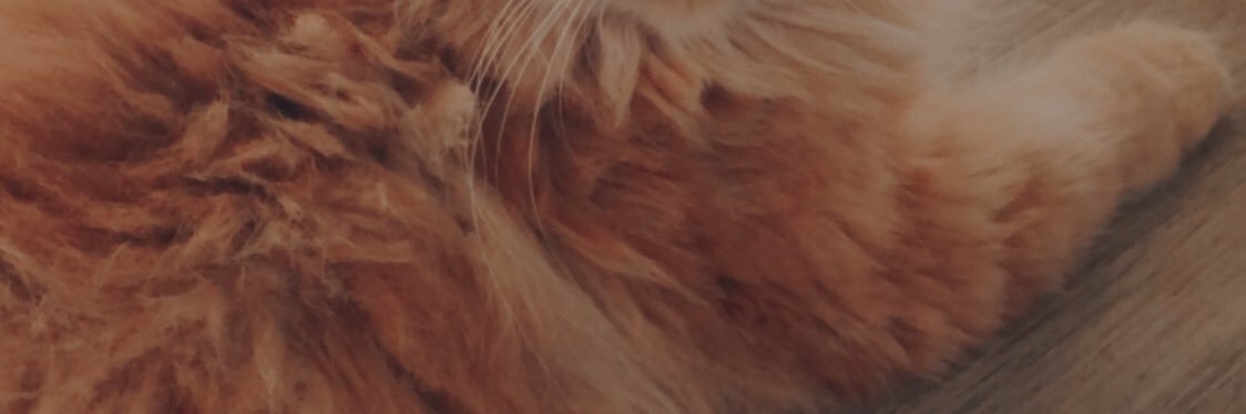 endlessluvv banner