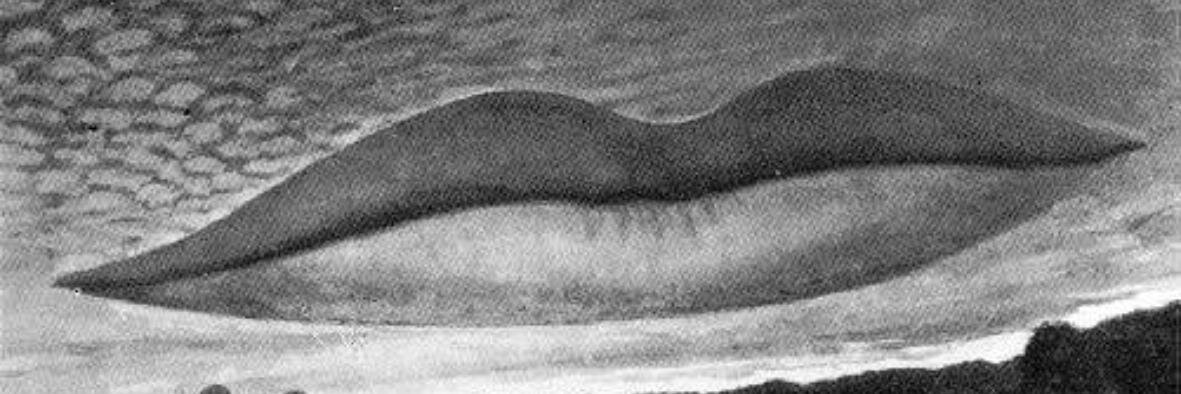 ginjah's profile banner image