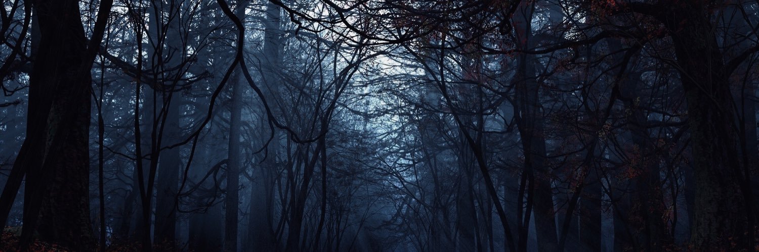 Raynar_S's profile banner image