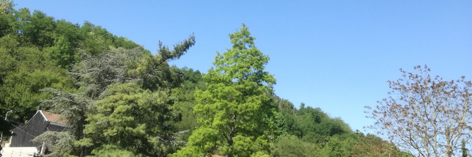 BrandonSerlez2's profile banner image