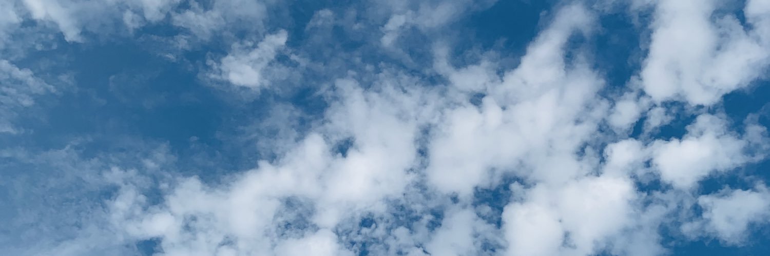 bulbu_le's profile banner image