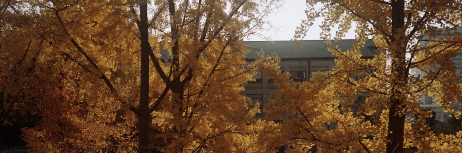 자하라 banner