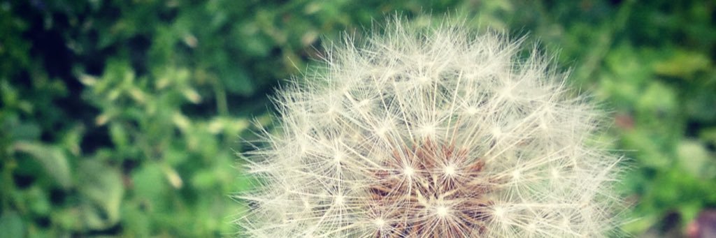 pom_osaka06's profile banner image