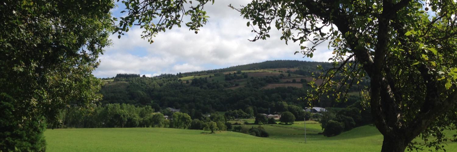 Mercedes Vazquez banner