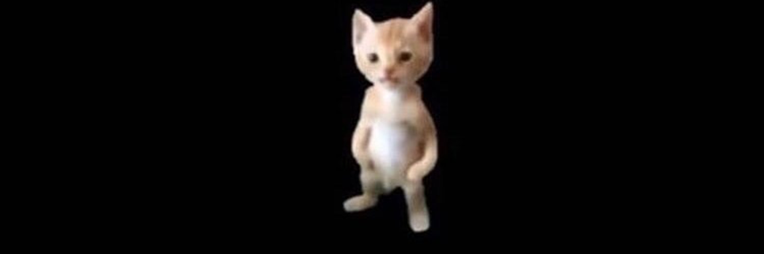 Мем с котом на черном фоне