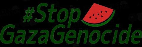 Alt NB 🇵🇸 banner