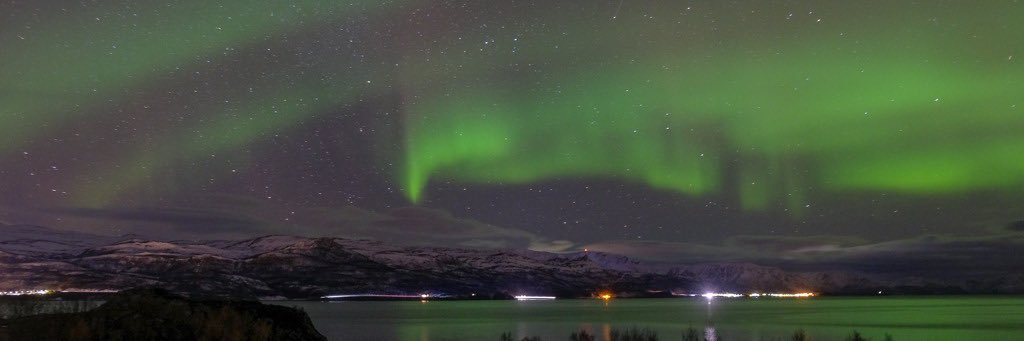timmourik's profile banner image