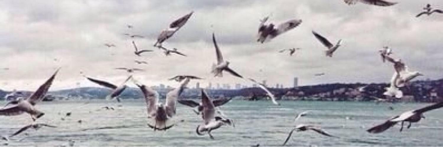 HindAbdullah08's profile banner image