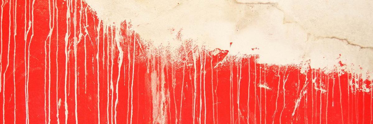 ShiniZZL's profile banner image