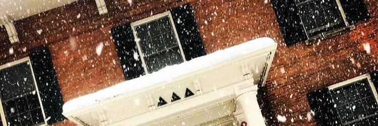 mollygrossman's profile banner image