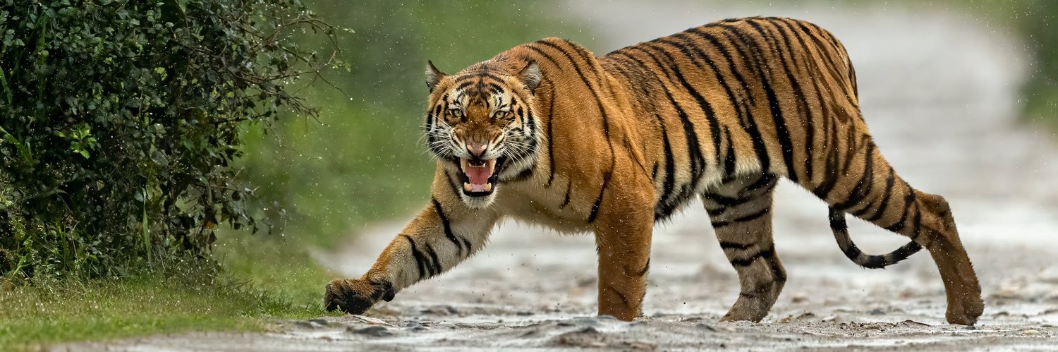 TheSunilPal's profile banner image