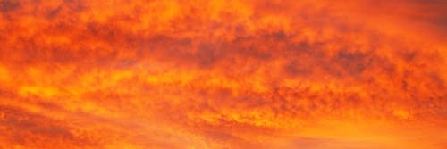 Roo_45's profile banner image