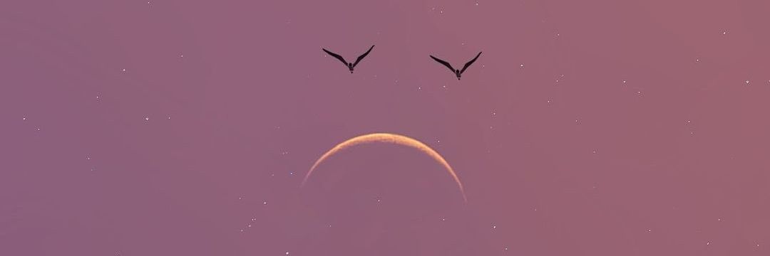 SnaksMom's profile banner image