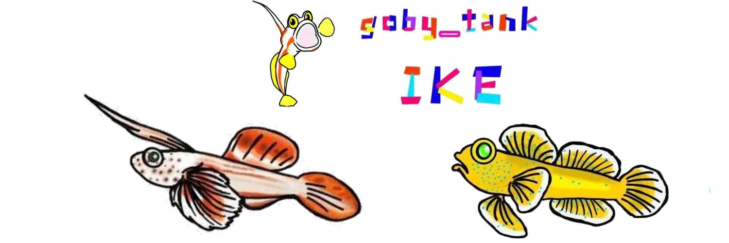 いけさんのトビハゼ banner