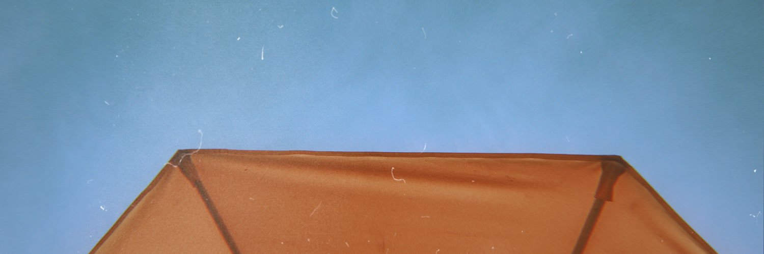 lorena banner