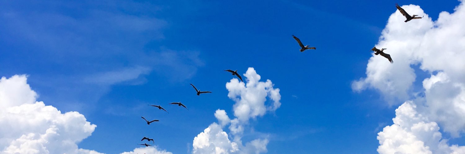 Maggie Speaks banner