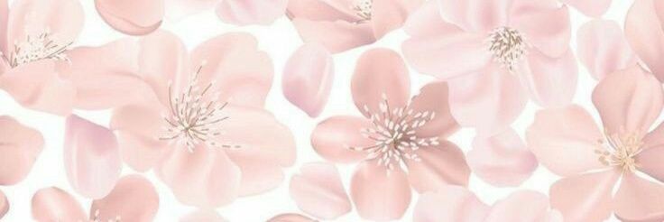 fifantsha's profile banner image