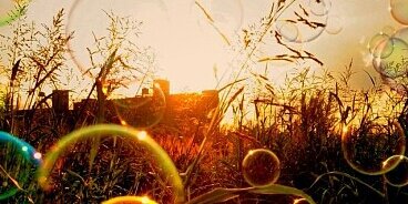 veravinna's profile banner image